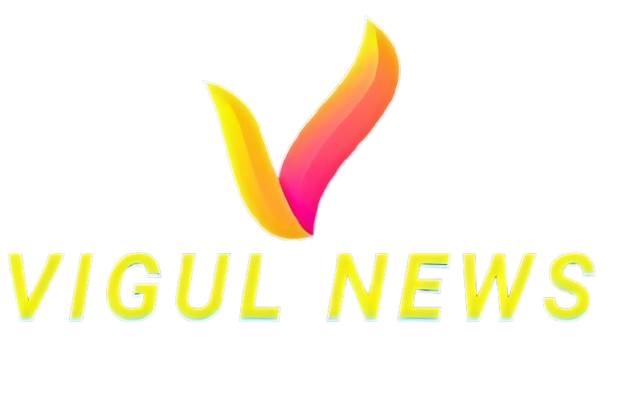 Vigul News Logo